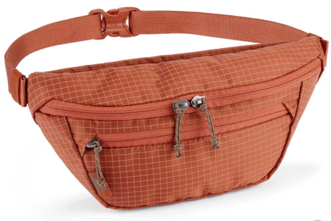 Best travel 2025 fanny pack 2019